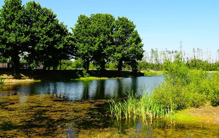 Gateway Resort gallery 3