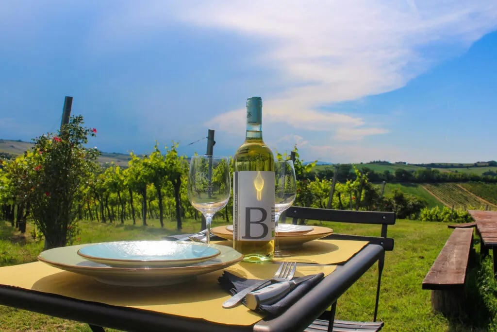 Azienda Agricola Bartolacci gallery 2