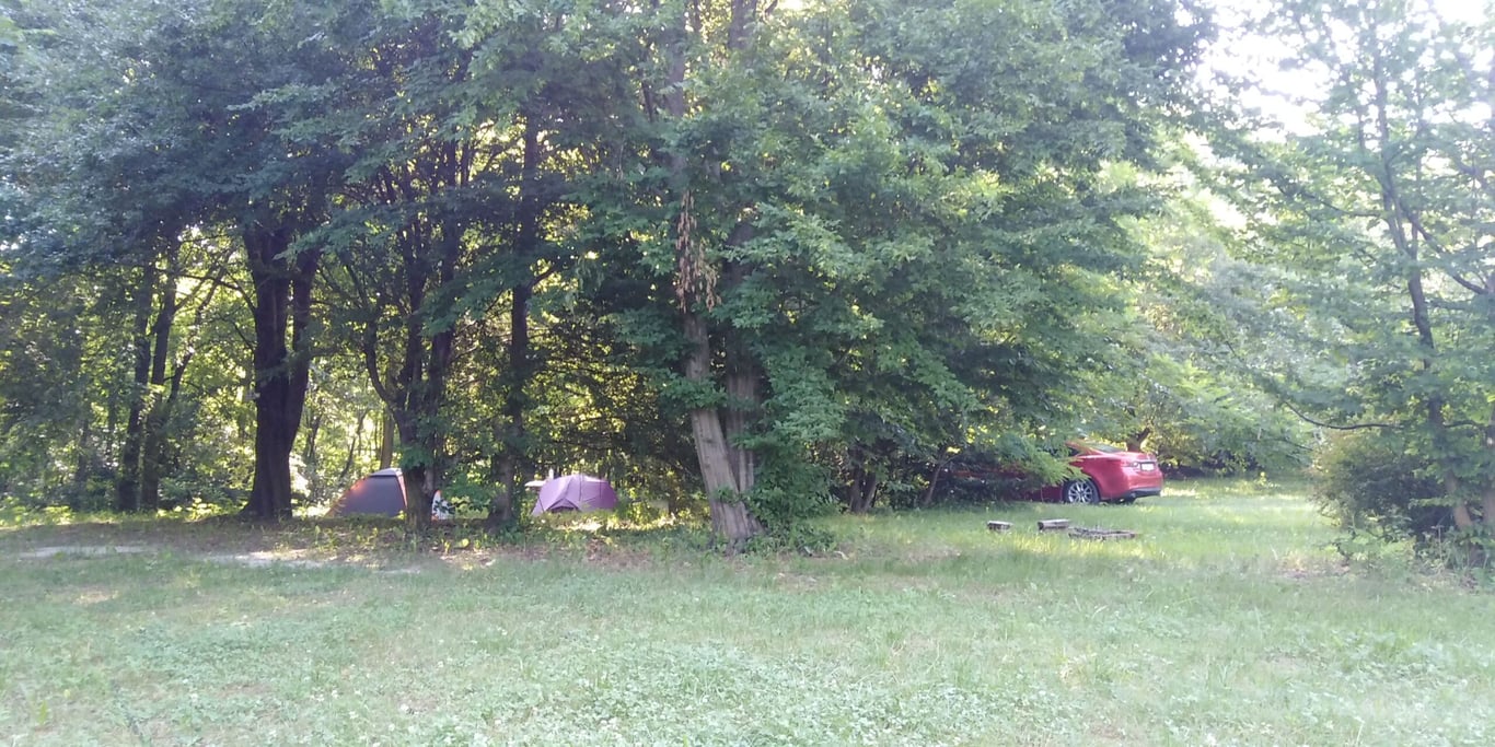 Bogata Šuma (“Rich Forest”) gallery 2