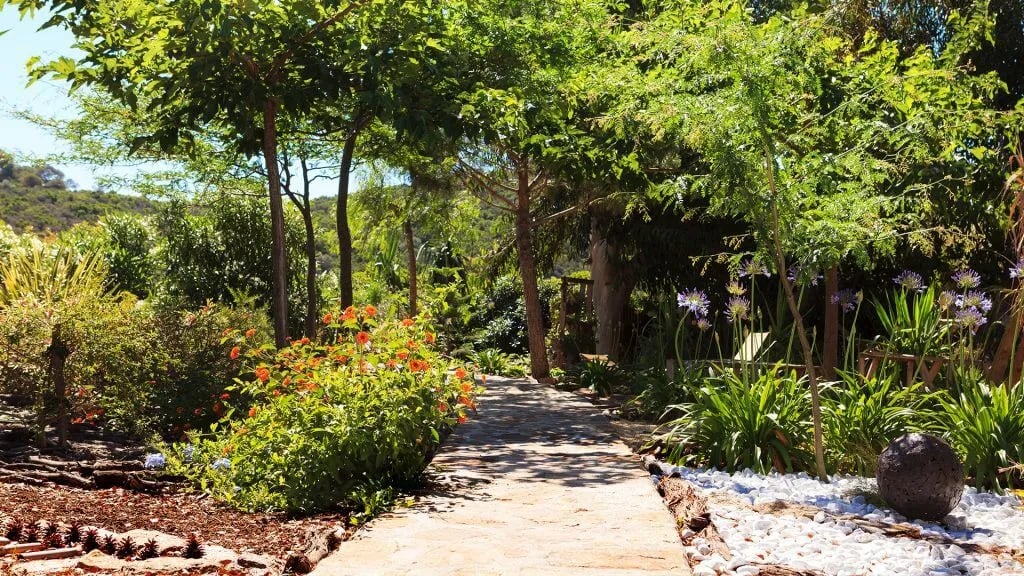 Terrain De Camping Naturiste La Pinede gallery 1