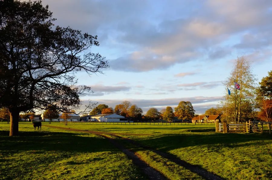 The Alders Caravan Park gallery 1