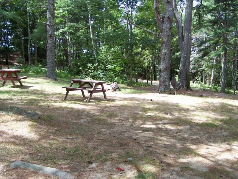 Meadowbrook Camping