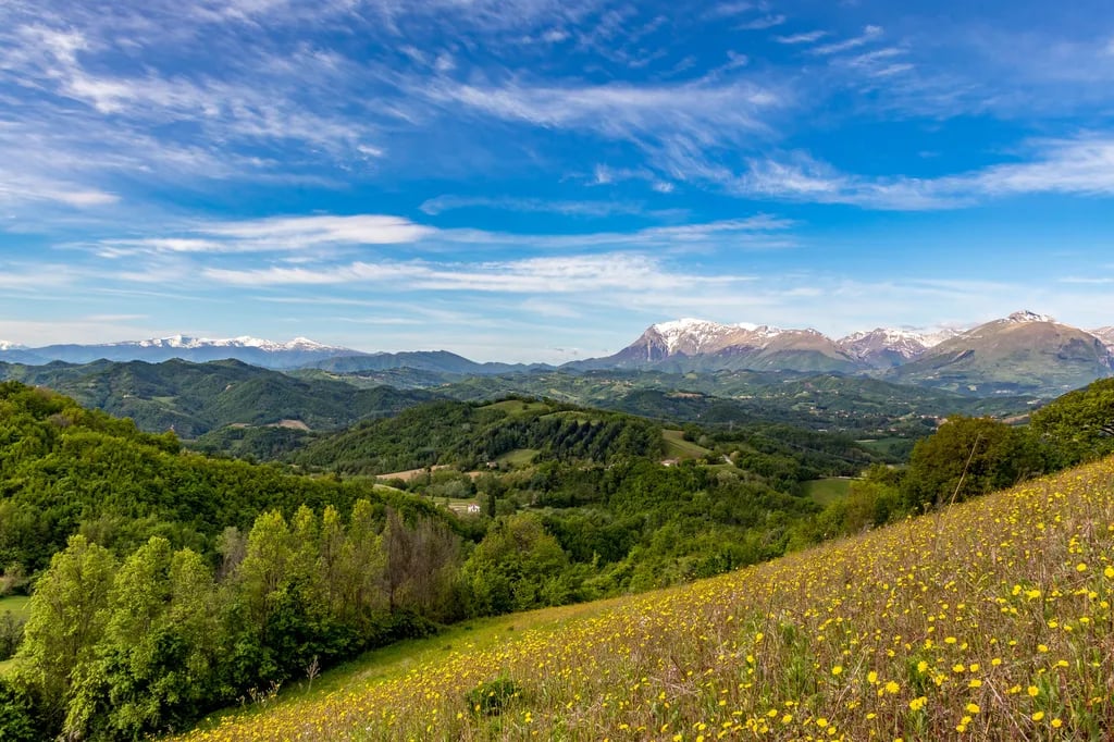 La Risacca Family Camping Village gallery 2