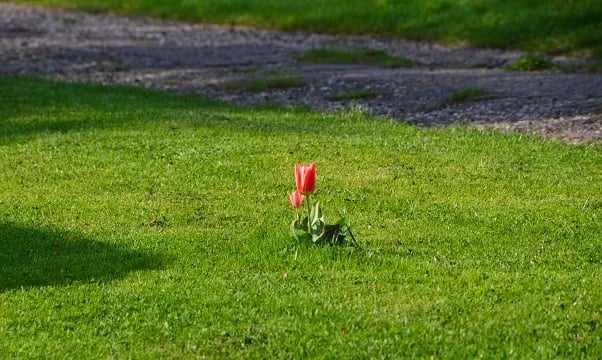 Campingplatz Saaletal gallery 3