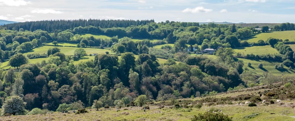Brimpts Farm gallery 3