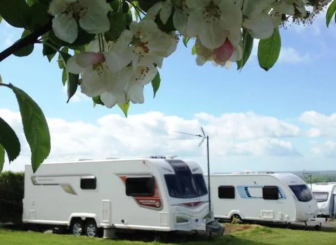 Bucklegrove Caravan and Camping Park gallery 3