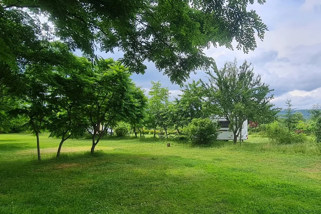 Camping de Oude Wilg