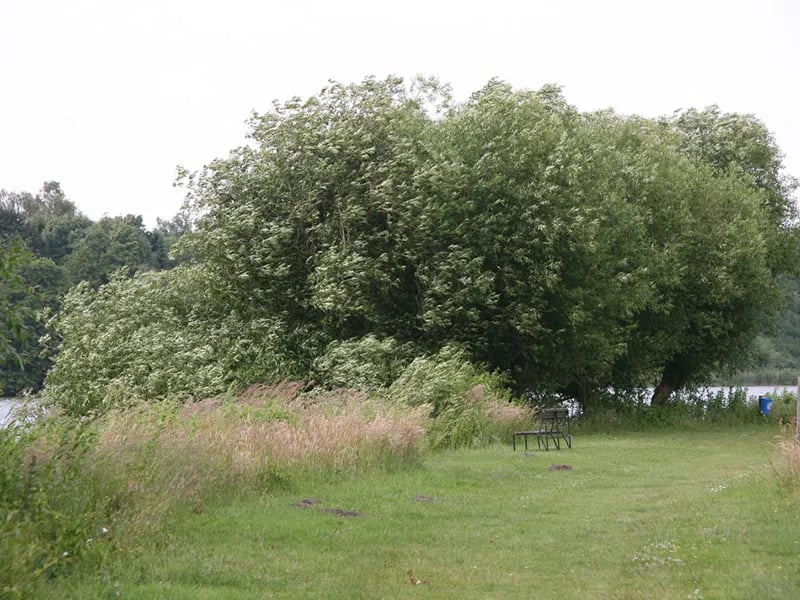 Camping u. Gasthof Waidmanns Ruh gallery 2