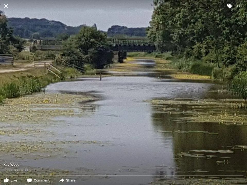 Battle Hill Farm gallery 2