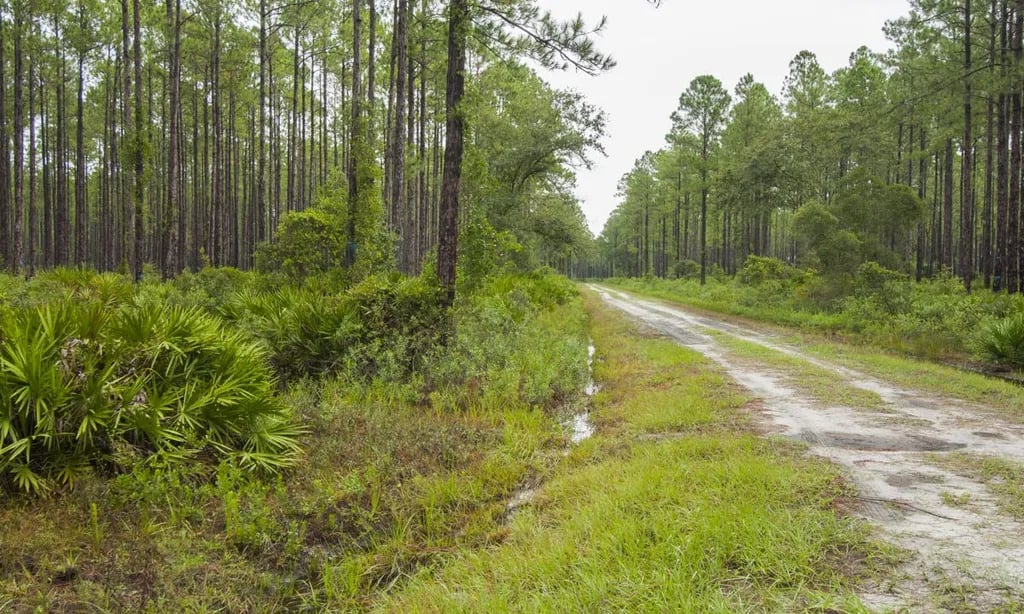 Lake George Conservation Area