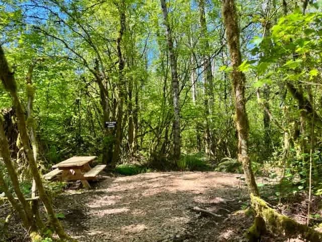Cedar Groves Rural Campground
