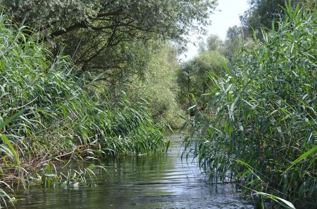 Camping Lac Murighiol gallery 1