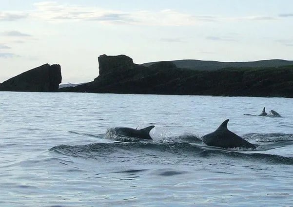 Clachtoll Beach Campsite gallery 1