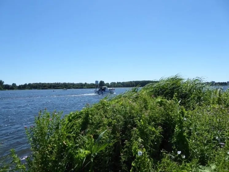 Camping Waterhout gallery 3