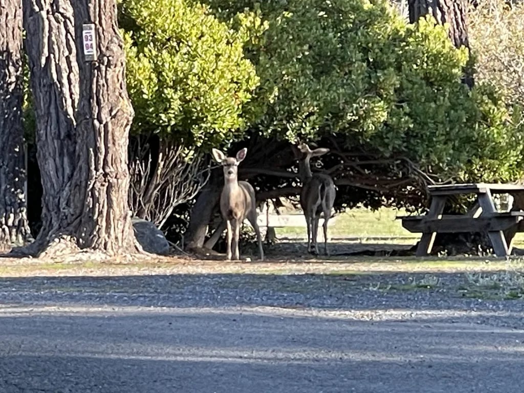 Pomo RV Park & Campground gallery 1