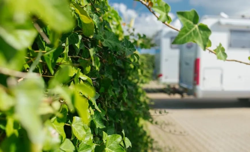 Camperplaats Leeuwarden gallery 1