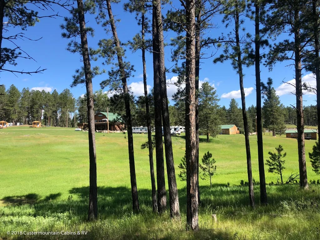Custer Mountain Cabins and Campground