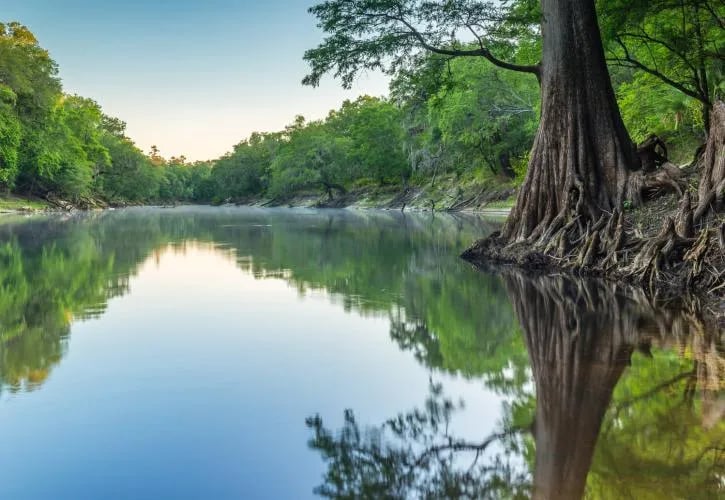Woods Ferry River Camp — Suwannee River Wilderness Trail gallery 1