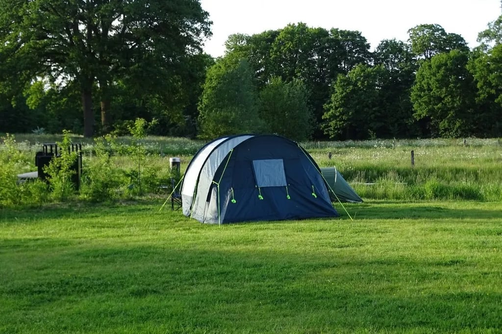 Camping De Adelaar gallery 3