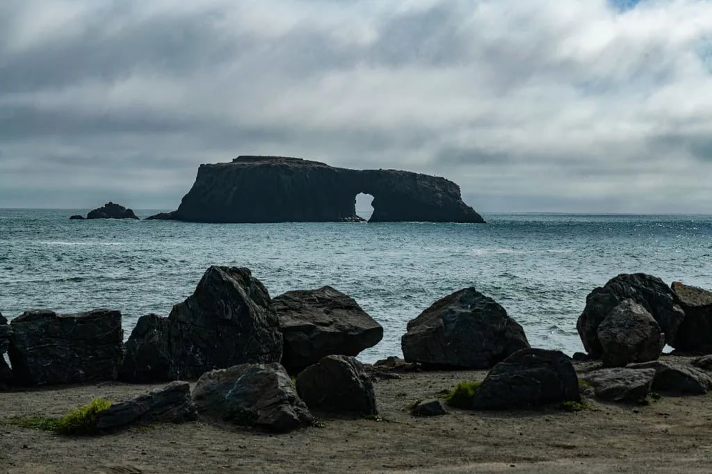 Sonoma Coast State Park