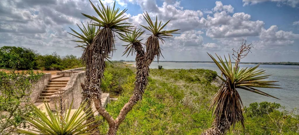 Lake Corpus Christi State Park Campground gallery 3
