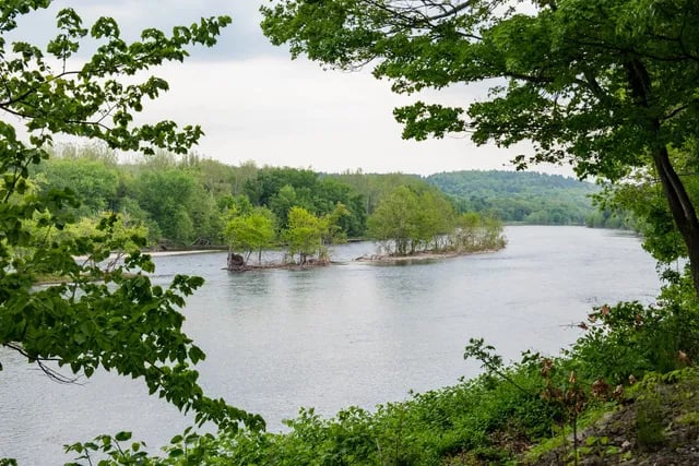 Kittatinny Canoes River Beach Campsites gallery 3