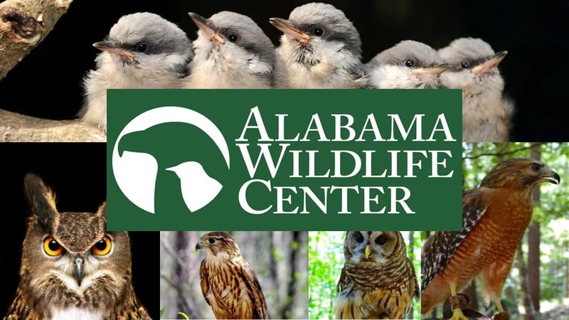 Oak Mountain State Park gallery 3