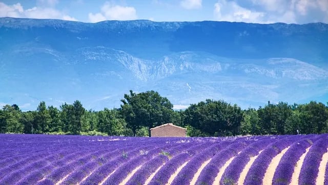 Camping Sainte Victoire - CamplinQ