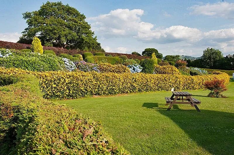 Bron Derw Touring Caravan Park gallery 2