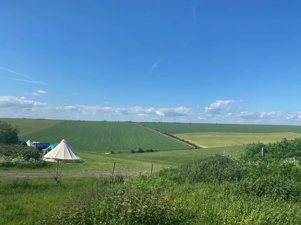 Pop-up Brighton Campsite gallery 1