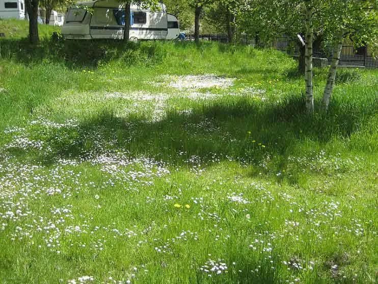 Campeggio Grand Combin gallery 3