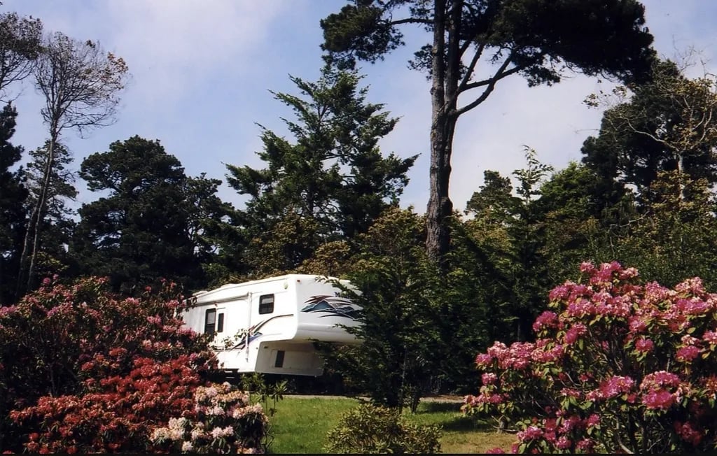 Pomo RV Park & Campground gallery 3