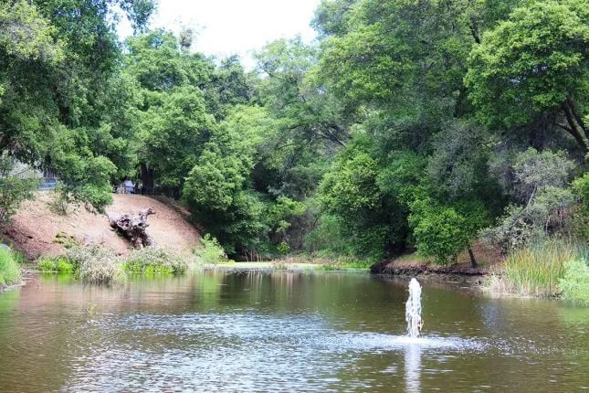 Ramona Oaks RV Resort gallery 3