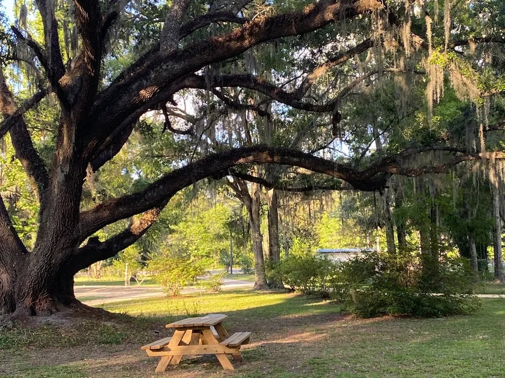 The Oaks RV Park LLC gallery 1