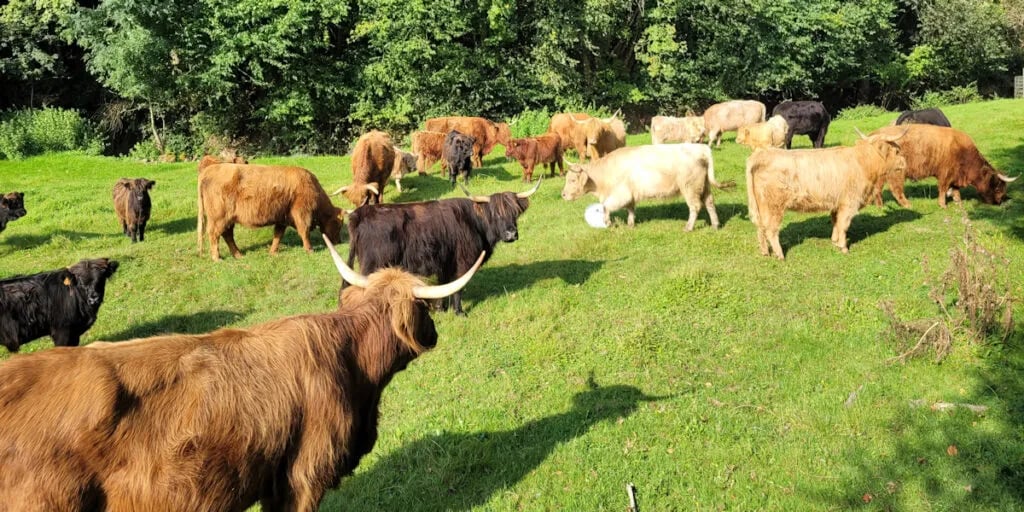 Camping Toodlermillen gallery 2