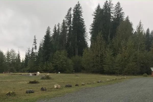 Lake Bronson Club Family Nudist Park gallery 3