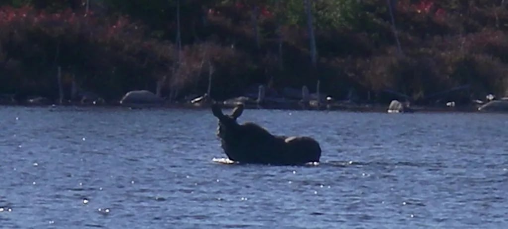Matagamon Wilderness gallery 1