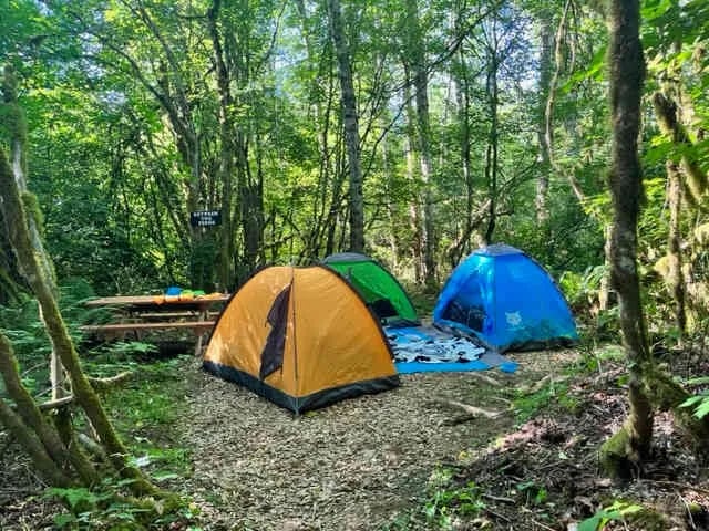 Cedar Groves Rural Campground gallery 3