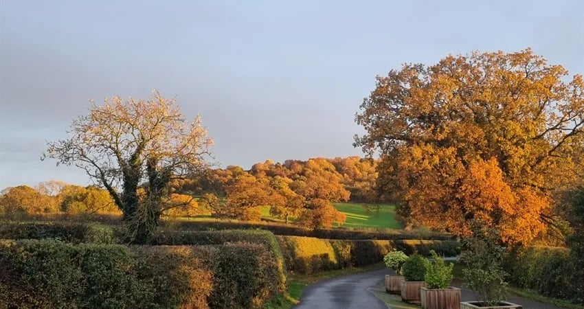 Hillside Caravan Park gallery 2