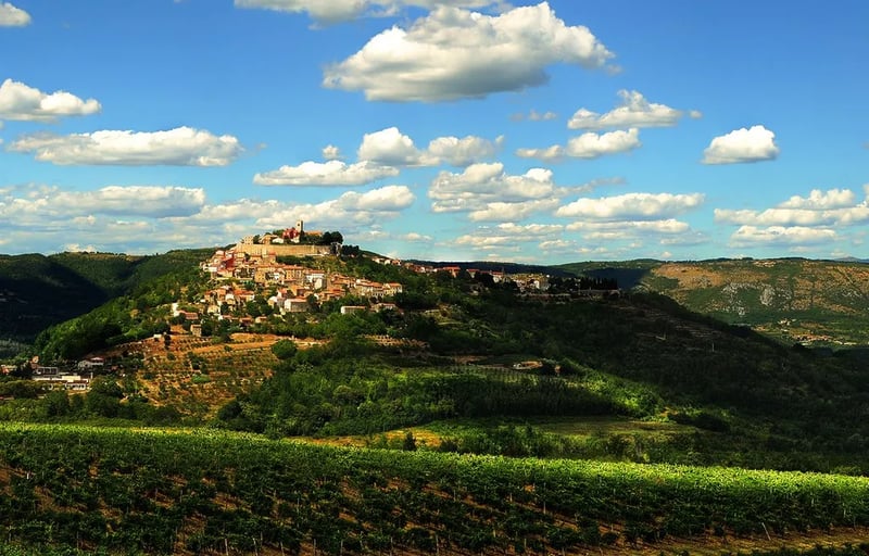 Motovun Camping gallery 3