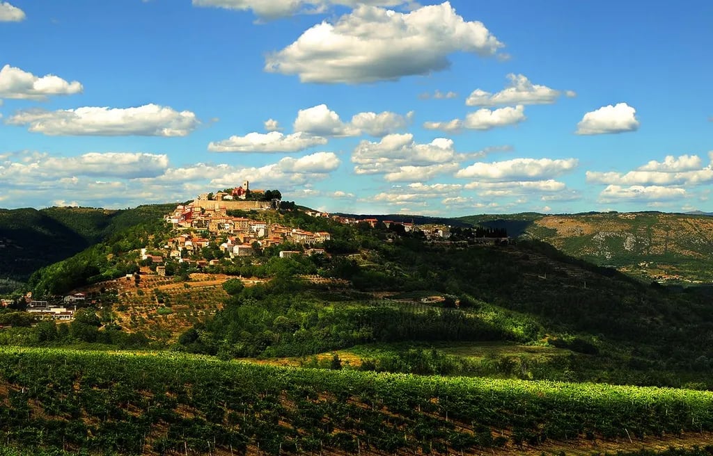 Motovun Camping gallery 3