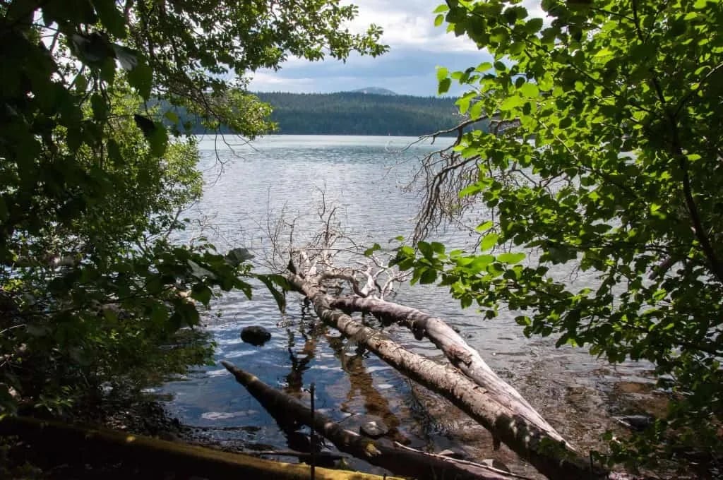 Odell Lake Lodge & Resort Campground gallery 1