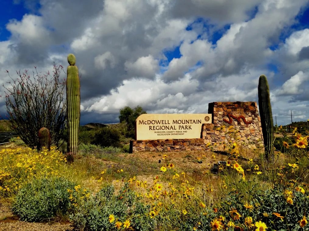 McDowell Mountain Regional Park gallery 1