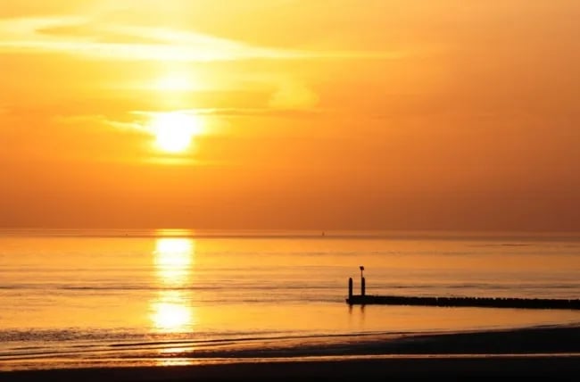 Camping Het Hoge Licht gallery 3