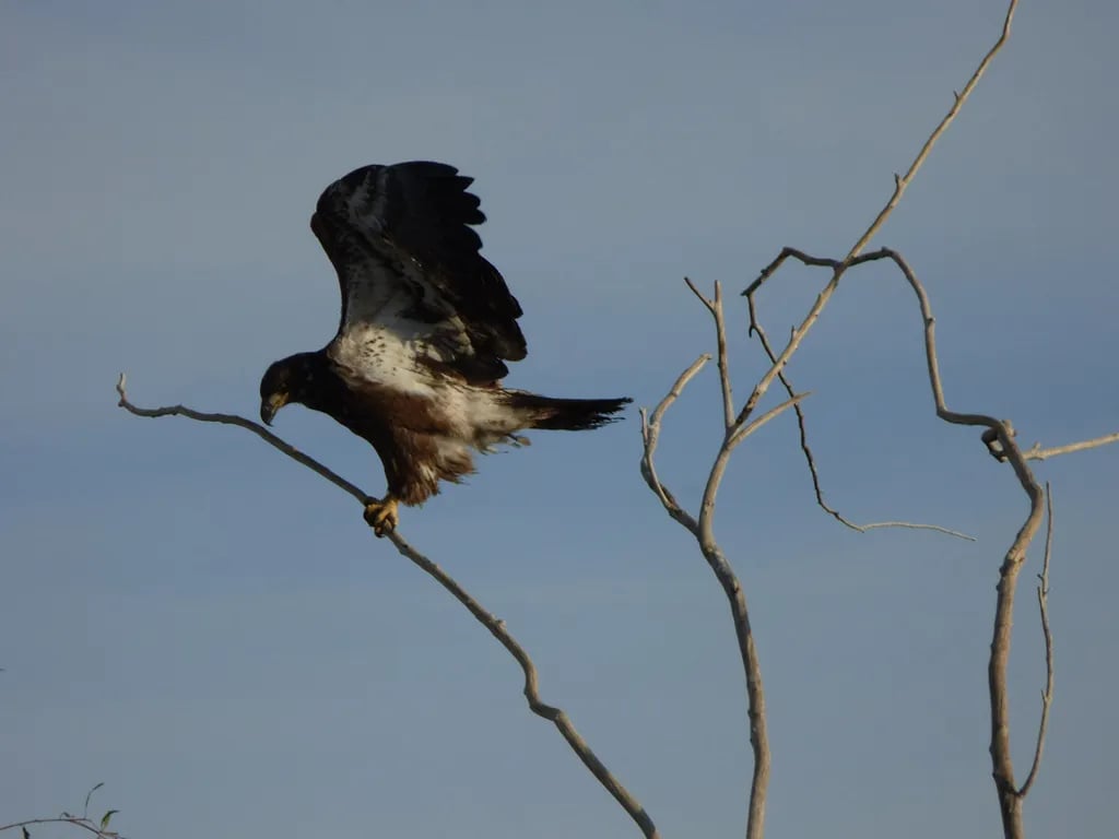 Fisher’s Landing Resort gallery 1