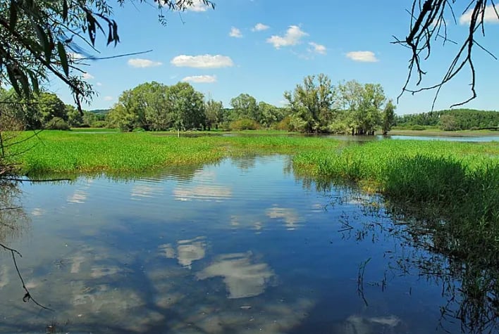 Camping du Lac de la Villegusien gallery 3