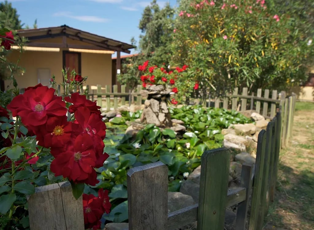 Camping Village Il Fontino gallery 1