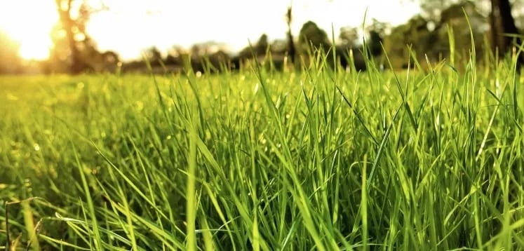 Barley Meadow Touring Park gallery 3