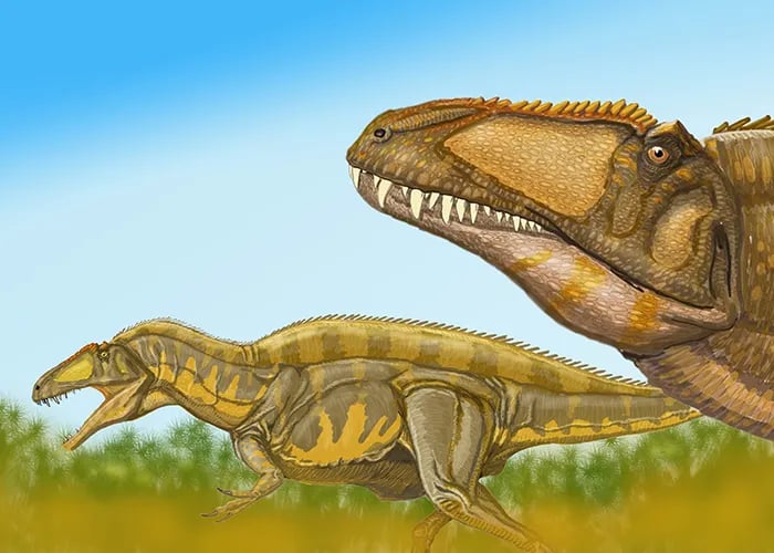 Clayton RV Park gallery 1