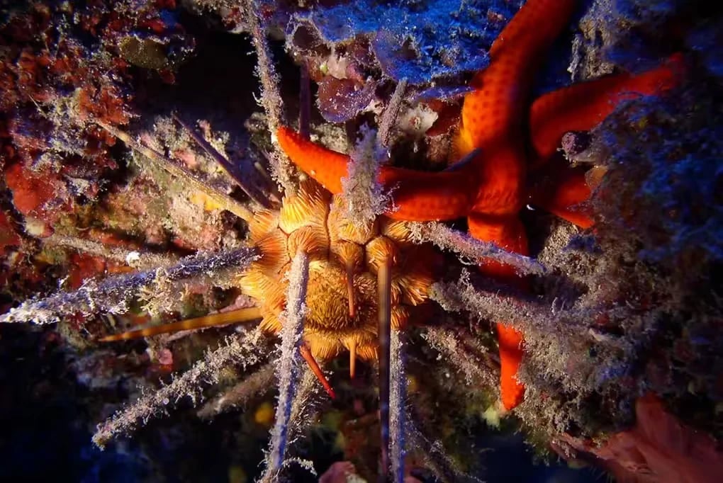 Campeggio El Bahira gallery 1